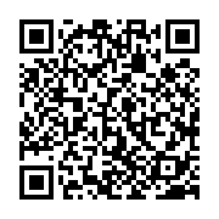 QR code for ZNH538