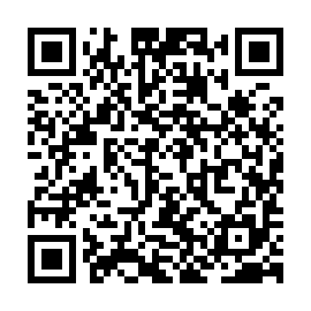 QR code for ZNY995