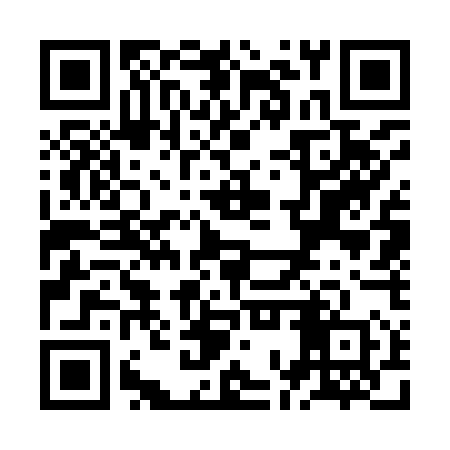 QR code for ZOW950
