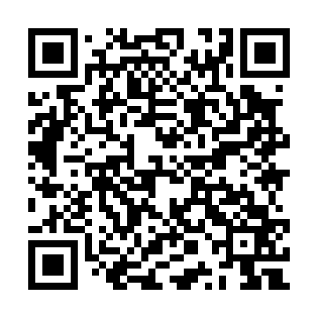 QR code for ZPI063