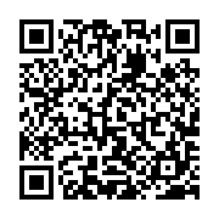 QR code for ZQL294