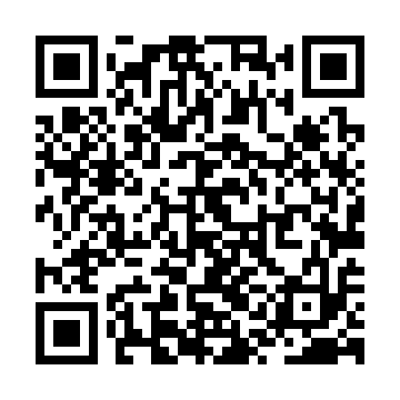 QR code for ZQL313