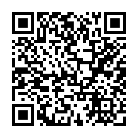 QR code for ZRQ382