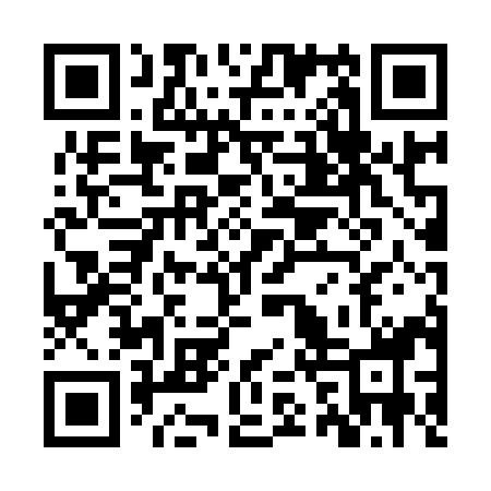 QR code for ZRT998
