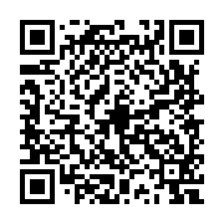 QR code for ZSP993