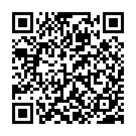 QR code for ZSS100
