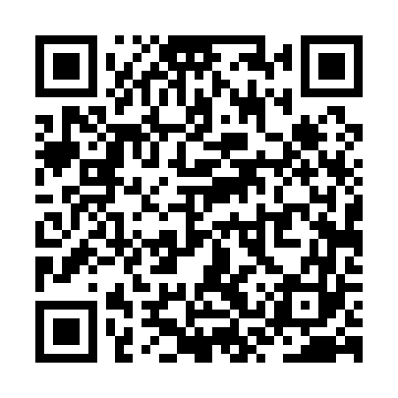 QR code for ZST163