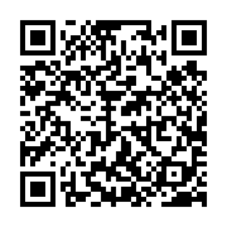 QR code for ZST699