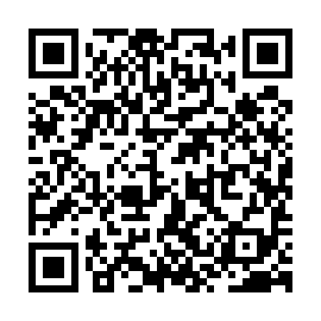 QR code for ZSY599