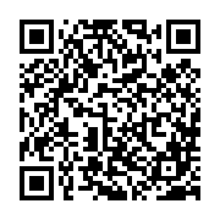 QR code for ZTH486