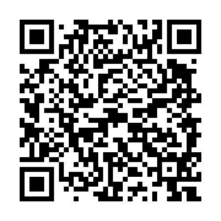 QR code for ZTN494