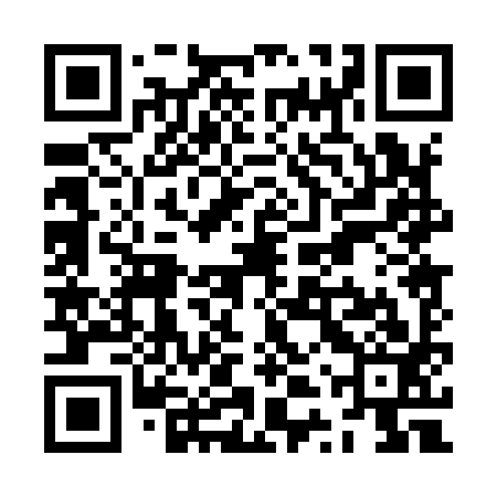 QR code for ZTP993