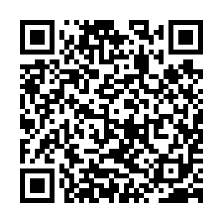 QR code for ZTQ691