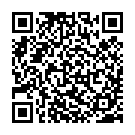 QR code for ZTR485