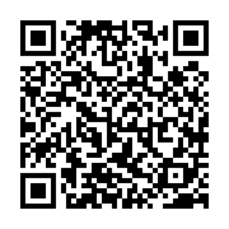 QR code for ZTX508