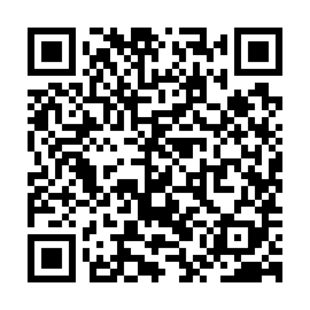 QR code for ZUI789