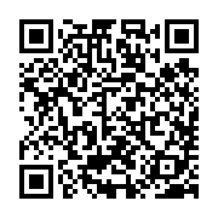 QR code for ZUR689