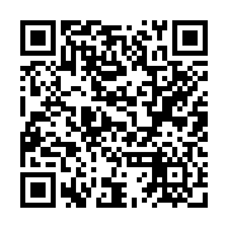 QR code for ZVI306