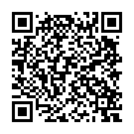 QR code for ZVI407