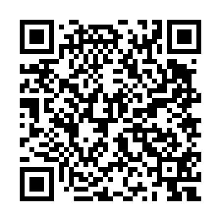QR code for ZVJ411