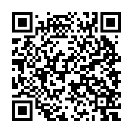 QR code for ZVN206