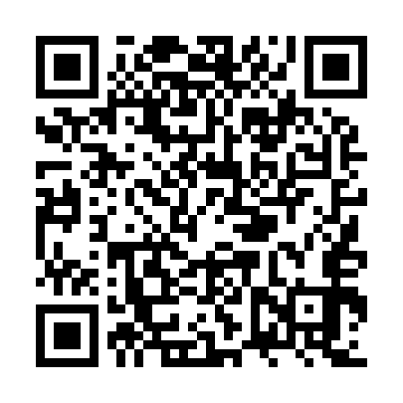 QR code for ZVT953