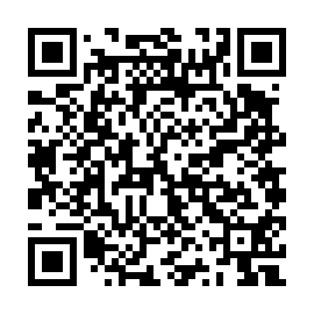 QR code for ZVV410