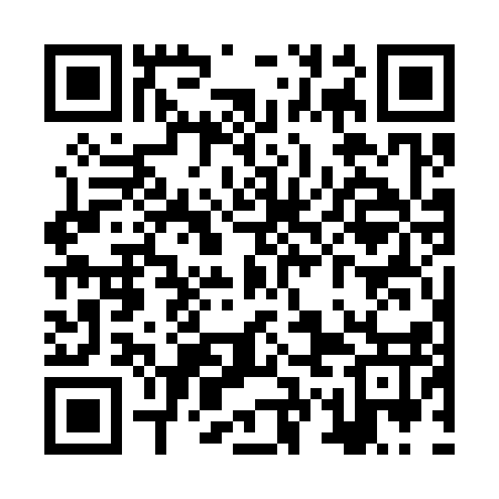QR code for ZWG317