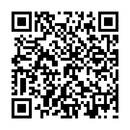 QR code for ZWO384