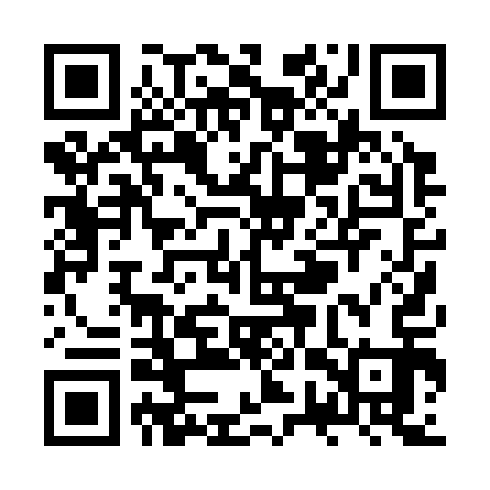 QR code for ZWP313