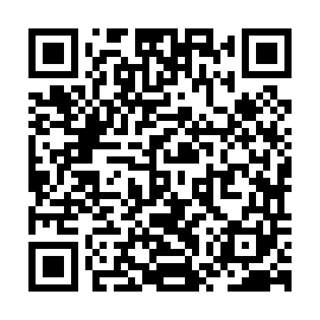 QR code for ZWZ041