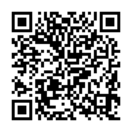 QR code for ZXA991
