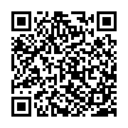 QR code for ZXD307