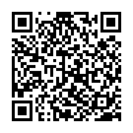 QR code for ZXM531