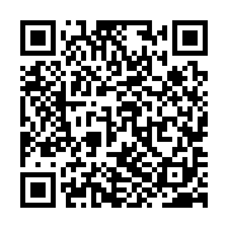 QR code for ZXN391
