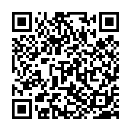 QR code for ZXN411