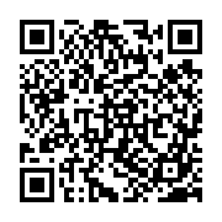 QR code for ZXN667