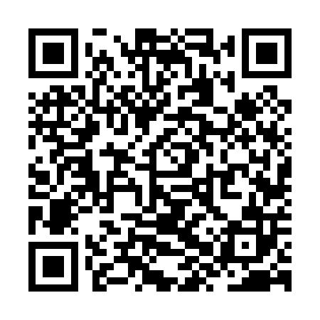 QR code for ZXV002