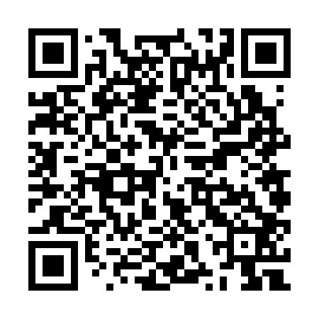 QR code for ZXV302