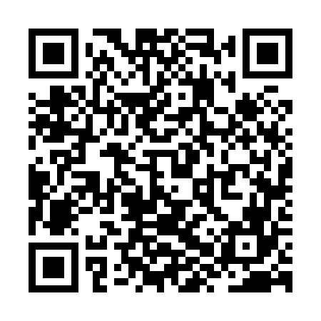 QR code for ZXV866