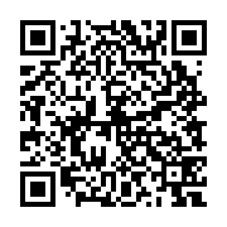 QR code for ZYD379
