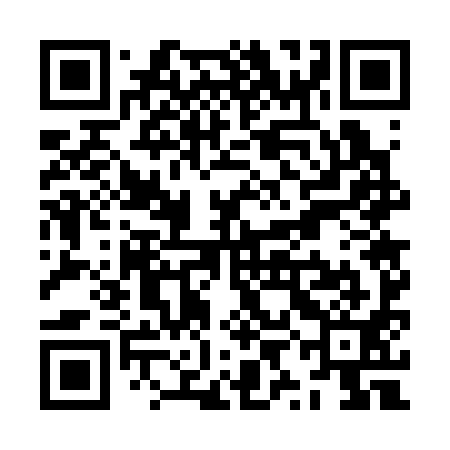QR code for ZYG391