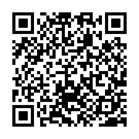 QR code for ZYL200