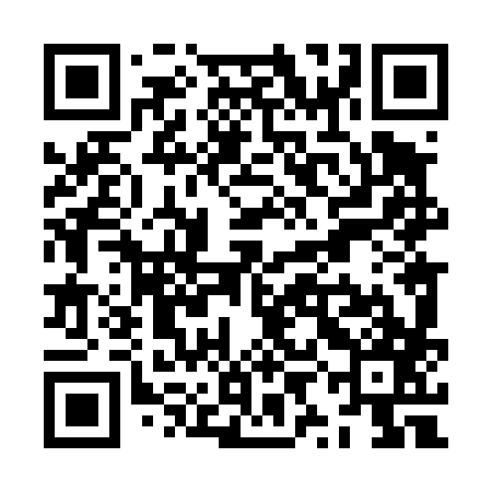 QR code for ZYL487