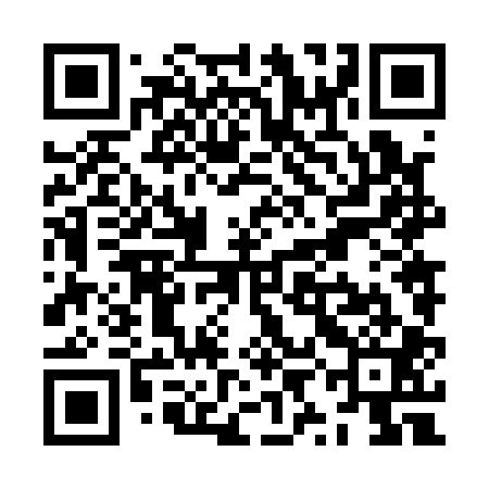 QR code for ZYN101