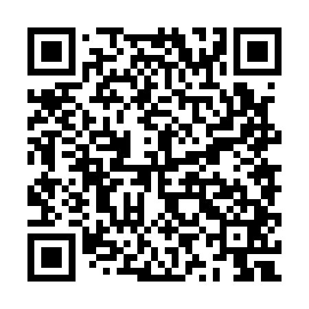 QR code for ZYN141