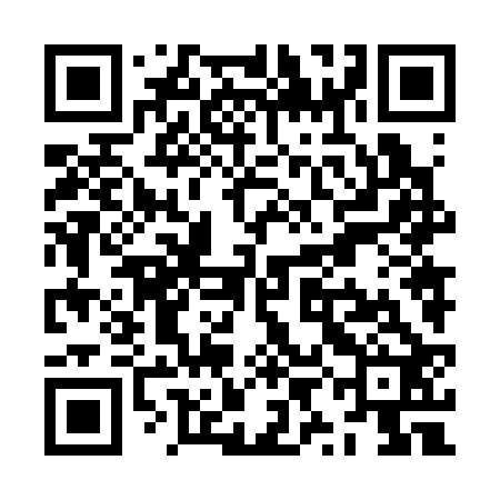 QR code for ZYN322