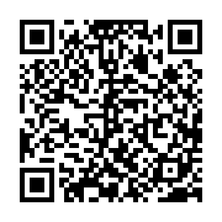 QR code for ZYP101