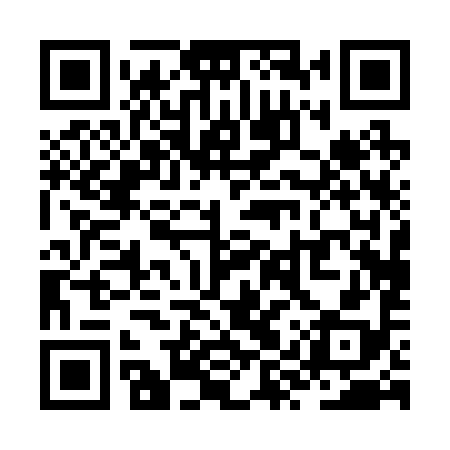 QR code for ZYP298