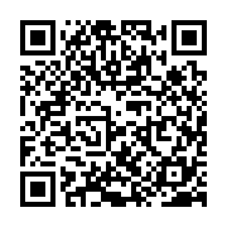 QR code for ZYQ335